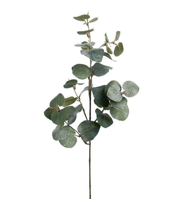 Eukalyptus med is 70 cm Fosheim Interiør